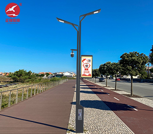 智慧路灯ZX-ZHLD063 智慧路灯ZX-ZHLD063