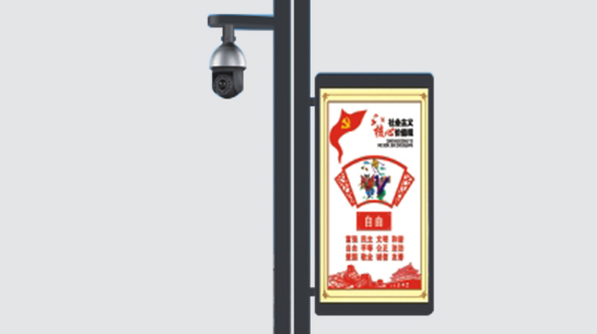 智慧路灯ZX-ZHLD063 智慧路灯ZX-ZHLD063