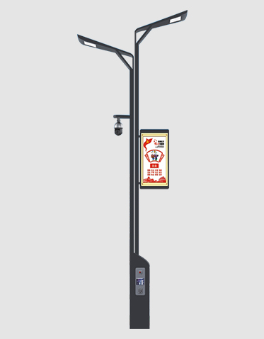 智慧路灯ZX-ZHLD063 智慧路灯ZX-ZHLD063