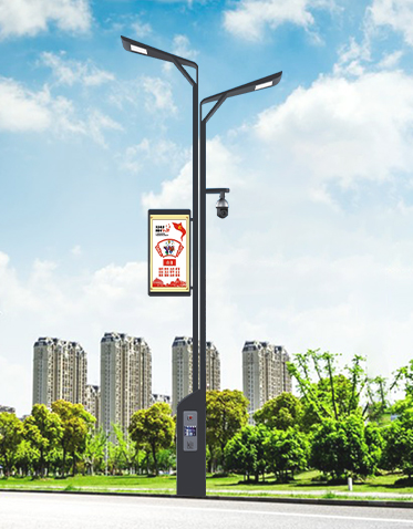 智慧路灯ZX-ZHLD063 智慧路灯ZX-ZHLD063