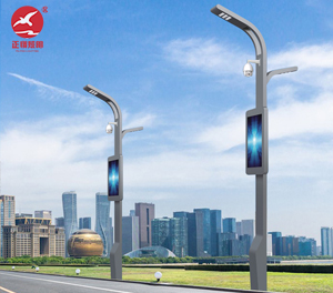 智慧路灯ZX-ZHLD065 智慧路灯ZX-ZHLD065