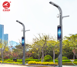智慧路灯ZX-ZHLD065 智慧路灯ZX-ZHLD065
