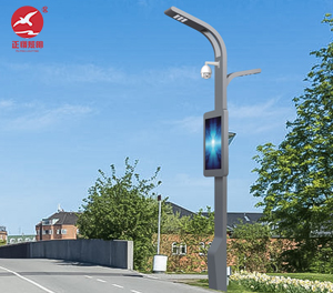 智慧路灯ZX-ZHLD065 智慧路灯ZX-ZHLD065