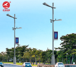 智慧路灯ZX-ZHLD066 智慧路灯ZX-ZHLD066