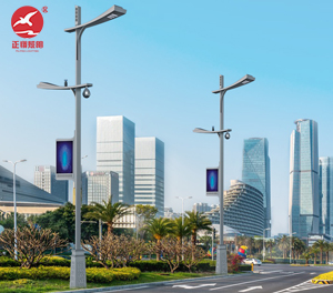 智慧路灯ZX-ZHLD066 智慧路灯ZX-ZHLD066