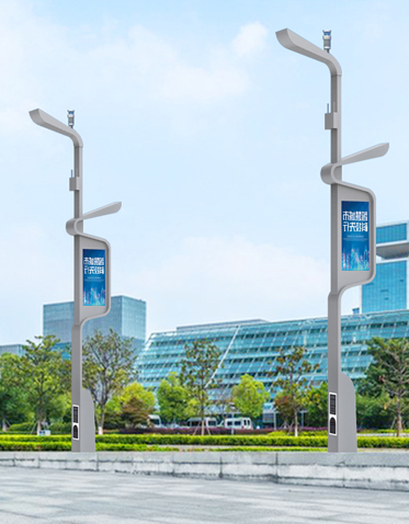 智慧路灯ZX-ZHLD067 智慧路灯ZX-ZHLD067