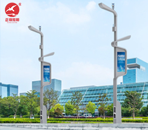 智慧路灯ZX-ZHLD067 智慧路灯ZX-ZHLD067