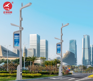 智慧路灯ZX-ZHLD067 智慧路灯ZX-ZHLD067