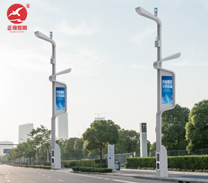 智慧路灯ZX-ZHLD067 智慧路灯ZX-ZHLD067