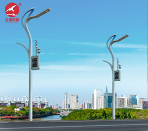 智慧路灯ZX-ZHLD068 智慧路灯ZX-ZHLD068