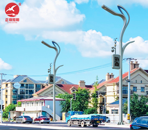 智慧路灯ZX-ZHLD068 智慧路灯ZX-ZHLD068