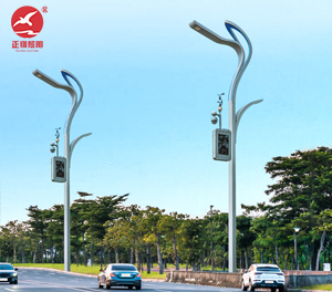 智慧路灯ZX-ZHLD068 智慧路灯ZX-ZHLD068