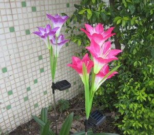 LED光纤灯ZX1301应用图2 LED光纤灯ZX1301应用图2