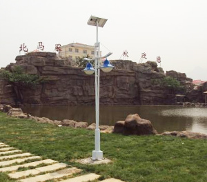 LED庭院灯ZX2008应用图1