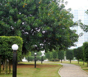 LED柱头灯ZX7003应用图2