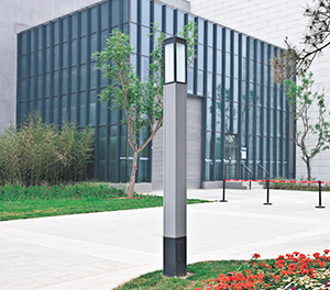 LED景观灯ZX1019应用图3