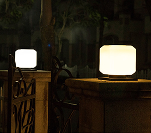 LED柱头灯ZX7006应用图3