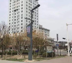 LED智慧路灯ZX1405应用图3