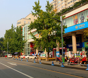 LED智慧路灯ZX1407应用图1