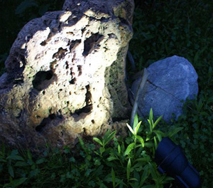 LED投光灯ZX8011应用图3 LED投光灯ZX8011应用图3