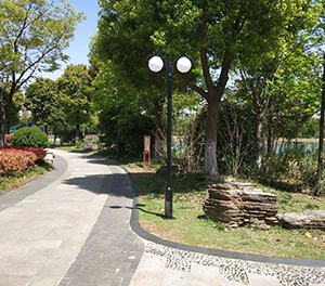 LED庭院灯ZX2025应用图2