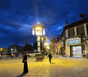 LED景观灯ZX1023应用图2