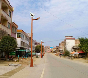 LED太阳能路灯ZX1505应用图3