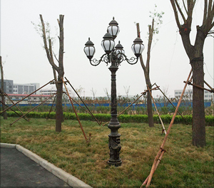 LED庭院灯ZX2030应用图1