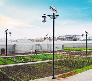 LED太阳能路灯ZX1507应用图1