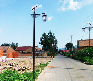 LED太阳能路灯ZX1507应用图2