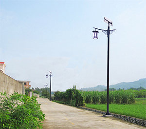 LED太阳能路灯ZX1507应用图3