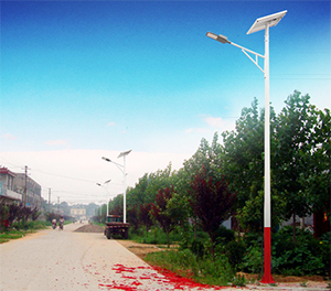 LED太阳能路灯ZX1508应用图3