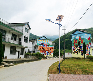 LED太阳能路灯ZX1512应用图3