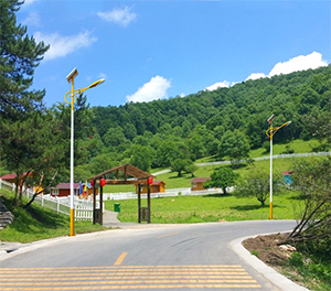 LED太阳能路灯ZX1513应用图1