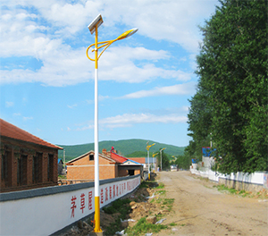 LED太阳能路灯ZX1513应用图2