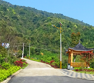 LED太阳能路灯ZX1513应用图3