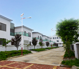 LED太阳能路灯ZX1514应用图2