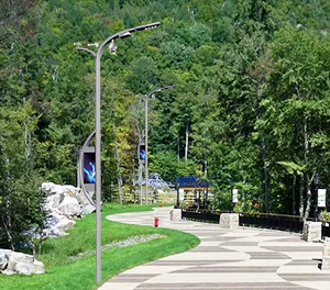 智慧路灯ZX1412应用图2