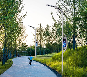 智慧路灯ZX1412应用图3