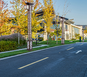 香港六和合资料