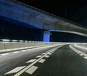 场景图-300X263-2